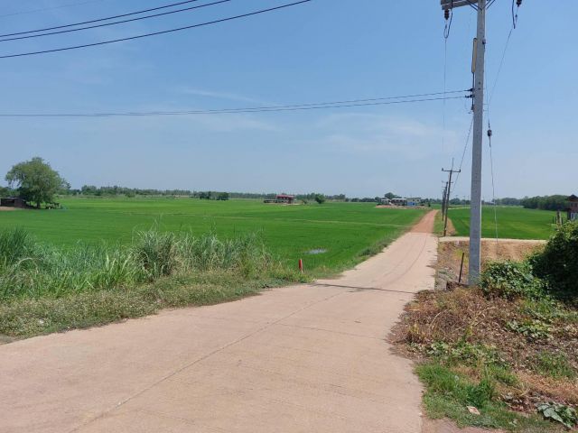 ขายที่ดิน 34 ไร่ ถ.พิษณุโลก-บางระกำ ต.บางระกำ อ.บางระกำ จ.พิษณุโลก