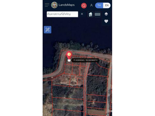 แปลงใหญ่ หนองบุ