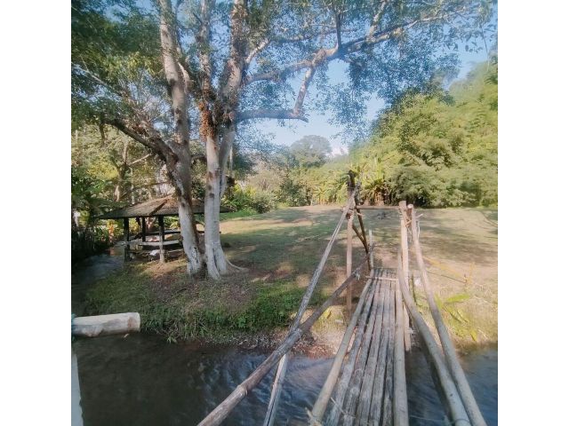ที่ดิน โฉนด ติดลำธาร ใกล้ ตัวเมือง เชียงใหม่