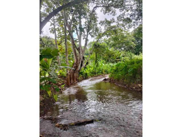 ที่ดิน โฉนด ติดลำธาร ใกล้ตัวเมือง เชียงใหม่