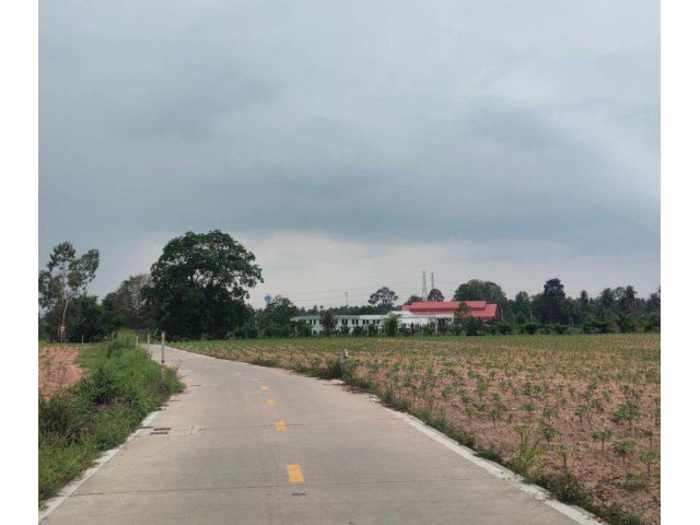 ขายที่ดินบึง หนองแขวะติดถนนคอนกรีต 1 ไร่ 3 งาน ใกล้ถนนเส้น3009-850เมตร อ.ศรีราชา ชลบุรี