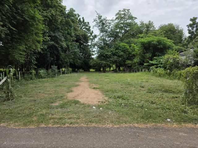 ️ที่ดินเนื้อที่ 200 ตรว.️ ติดถนนลาดยาง ร่มรื่น อยู่ในแหล่งชุมชน เพียง 490,000 บาท 087-006-0727