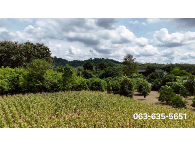 ขายที่สวยวิวเขาไม่ต้องถม โฉนดครุฑแดง ต.ชะอม อ.แก่งคอย จ.สระบุรี