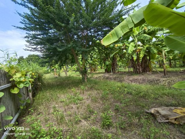 ขายที่ดินติดคลองบางระมาดสาย 2 เนื้อที่1-3-19.4 ไร่ ( 719.4 ตรว.) พุทธมณฑลสาย2 ซ.21 ที่ดินอยู่ในหมู่บ้านเปรมวดี 1 (พุทธม