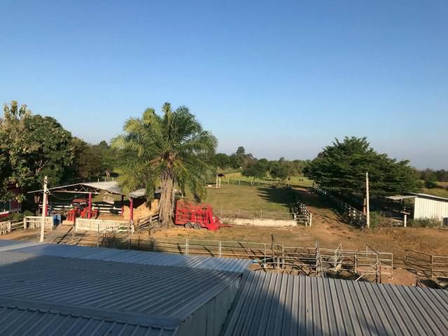 ขายที่ดินพร้อมสิ่งปลูกสร้าง อำเภอสีคิ้ว จังหวัดนครราชสีมา