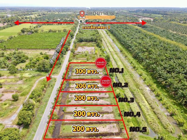 ที่ดินคลอง 9 หนองเสือ ปทุมธานี 200 ตรว. ราคาถูก ทำเลอนาคต เหมาะปลูกบ้าน ทำโกดัง ฟรีค่าโอน