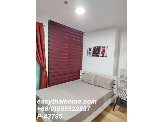 P-43795 ให้เช่า คอนโด ไอดีโอ บลูโคฟ สุขุมวิท แขวงบางนาเหนือ เขตบางนา กรุงเทพมหานคร พร้อมอยู่ ราคาถูก Line Id: @easythaih