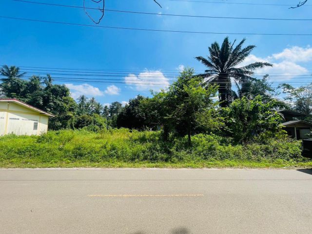 ที่ดินเปล่า85ตารางวาตำบลกระบี่น้อยกระบี่ชำระ5หมื่นผ่อนต่อพร้อมเปลี่ยนสัญญา