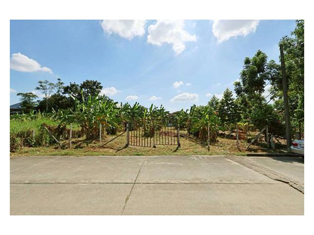 ขายที่ดินในเมืองเอก รังสิต แปลงสวยทำเลดี หน้าติดถนน หลังติดคลอง ใกล้ตลาดสัมมากรเมืองเอก