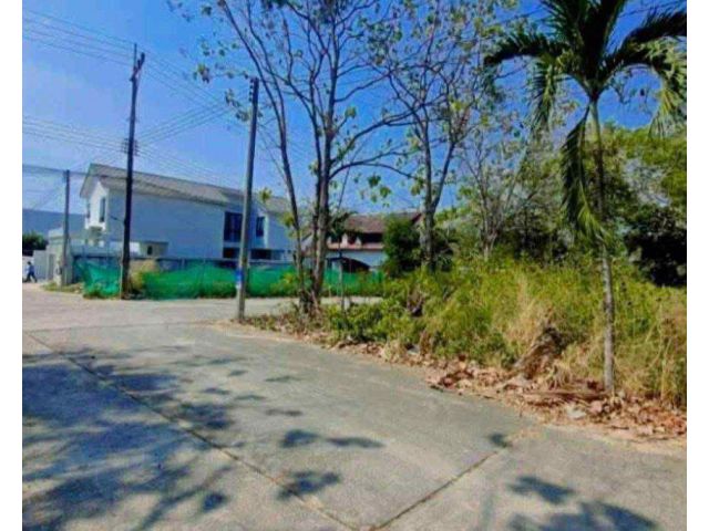 ขายที่ดินห้วยใหญ่ 100 ตรว. ซอยชากนอก19 แปลงหัวมุมติดถนน2ด้านใกล้หาดจอมเทียน-7กม. อ.บางละมุง ชลบุรี