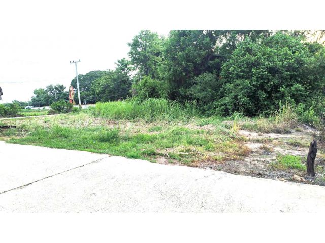 ที่ดินพิษณุโลก บึงพระ 1-3-55 ไร่ หน้าติดถนน หลังติดน้ำ
