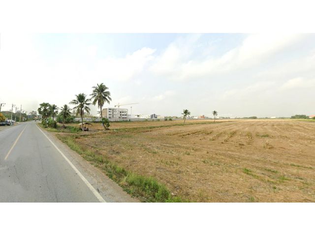 ขายที่ดิน 39 ไร่ ผังสีม่วง คลองเก้า ต.ลำลูกกา อ.ลำลูกกา จ.ปทุมธานี