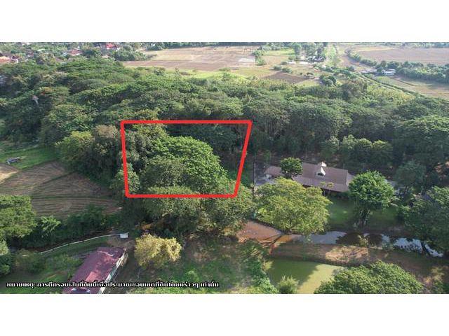 ขายที่ดินสวย 344 ตรว. ดอยสะเก็ด บรรยากาศร่มรื่น