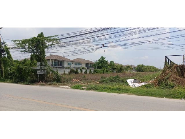 ขายที่ดิน 30 ไร่ คลองหก ใกล้ม.เทคโนโลยีราชมงคลธัญบุรี อ.คลองหลวง จ.ปทุมธานี
