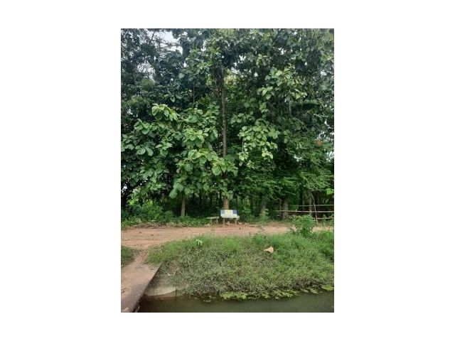 ขายที่ดินเปล่าราคาถูก 1 ไร่ 53 ตารางวา ท่ามะกา กาญจนบุรี