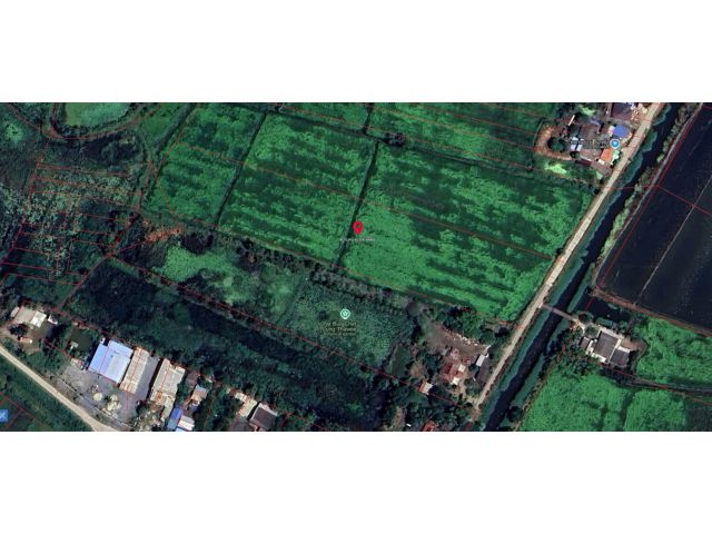 Vายที่ดิน 10 ไร่ อยุธยา -บางปะอิน ที่ยังไม่ถม ถนนสายเอเซีย ฝั่งขาเข้า