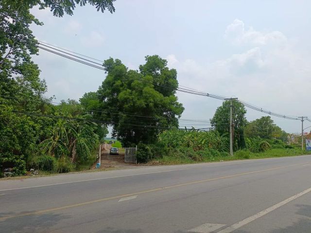 ขายที่ดิน 74 ไร่ คลองสาม อ.คลองหลวง จ.ปทุมธานี