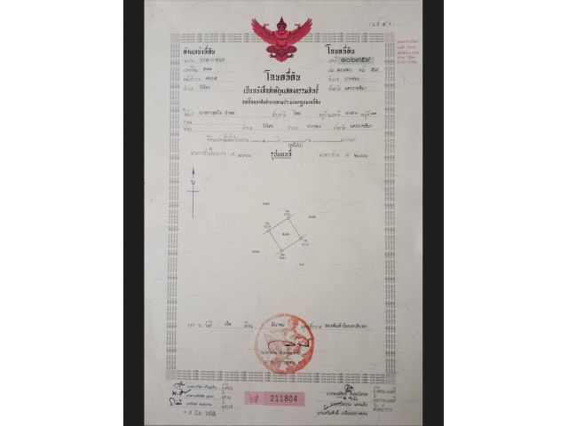 ที่ดินวังไทรแบ่งขายใกล้บ้านนอกคอกนาคาเฟ่ ไร่ละ 2 ล้าน ที่ดินติดถนนสาธารณะ มีถนนส่วนบุคคล