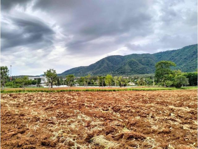 ที่ดินปากช่อง หมูสี 16 ไร่