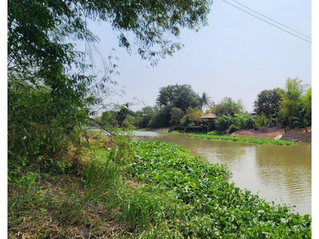 ขายที่ดินคลองนครเนื่องเขต 45 ไร่ ติดคลองติดถนนคอนกรีต ใกล้ตลาดปองพล-5กม. อ.เมืองฉะเชิงเทรา