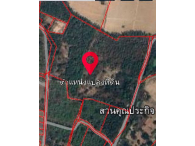 ด่วนที่สุด ขายที่ดินตีนเขาใหญ่ สำหรับสร้างรีสอร์ท จำนวน 53 ไร่ 1 งาน 40 ตารางวา