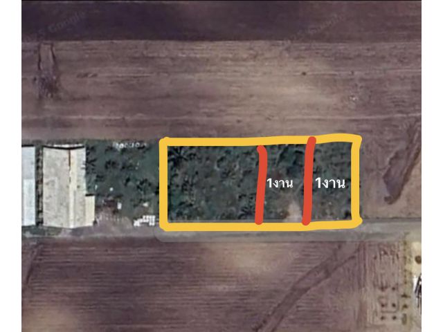 แบ่งขายด่วน 2 แปลง ๆ ละ 100 ตารางวา ราคา 380,000 บาทต่อแปลง