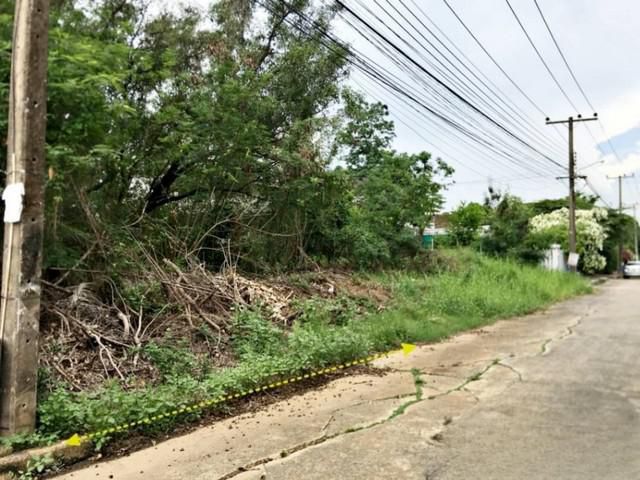 ที่ดินเปล่า เมืองเอก โครงการ 3 ต.หลักหก อ.เมืองปทุมธานี จ.ปทุมธาน