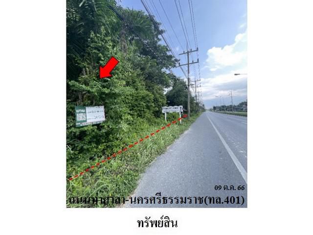 ขายที่ดิน ต.ท่าศาลา อ.ท่าศาลา จ.นครศรีธรรมราช