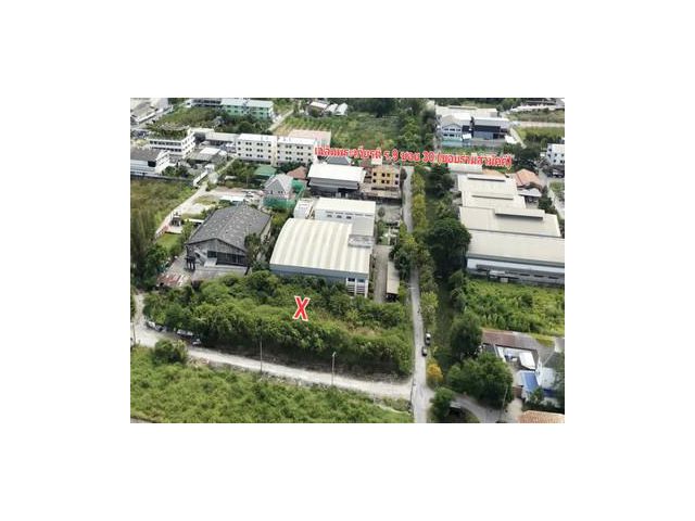 แปลงมุม ขายที่ดิน 1-2-29 ไร่ เฉลิมพระเกียรติ ร.9 ซอย 30 แยก 15