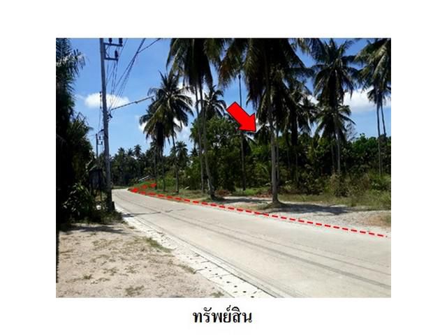 ขายที่ดินว่างเปล่า ถ.ศิริสุข ตำบล ขนอม อำเภอ ขนอม จ.นครศรีธรรมราช