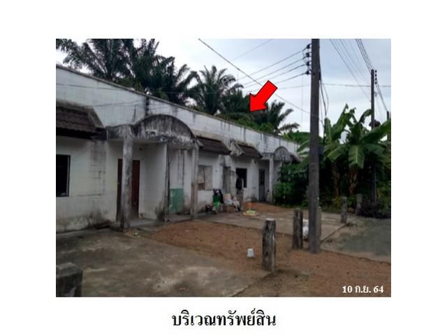 ขายที่ดินโครงการ ไม้หลาการ์เด้นท์ หินตก ร่อนพิบูลย์ จ.นครศรีธรรมร