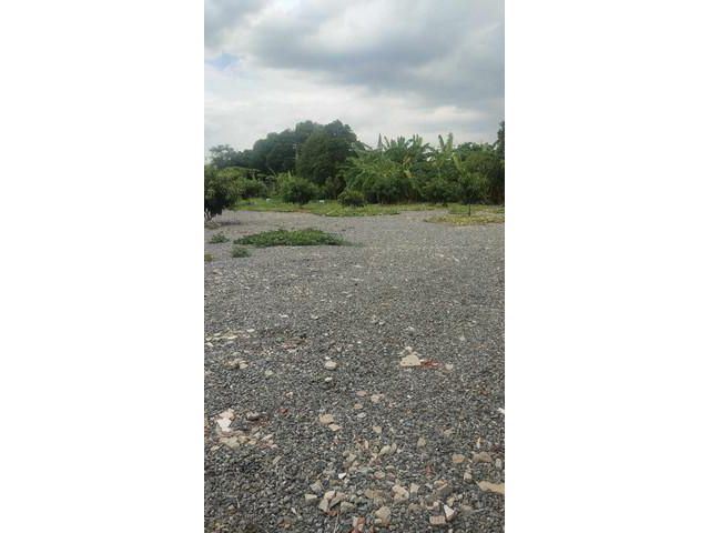 ขายที่ดิน 124 ตร.ว ซอยพัฒนาการ 30 ที่ดินสวยเหมาะสร้างบ้าน