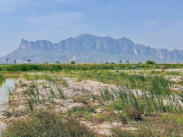 ขายต่ำกว่าราคาประเมิน ที่ดินแปลงใหญ่ วิวภูเขา ใกล้หาดชะอำ เนื้อทึ่ 16-1-84 ไร่ ตำบลชะอำ อำเภอชะอำ จังหวัดเพชรบุ