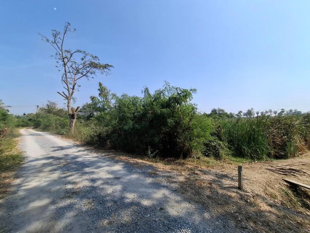 ขายที่ดิน ซอยลาดเต่าดำ กำแพงแสน ที่ดิน 3 ไร่ 83 วา ตำบลกำแพงแสน อำเภอกำแพงแสน จังหวัดนครปฐม