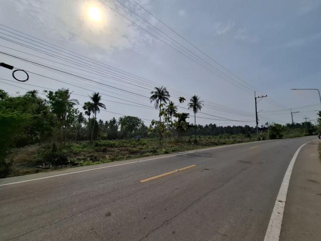 ขายที่ดิน 4 ไร่ ย่านชุมชนเมืองสมุทรสงคราม ที่ดินย่านชุมชน แหล่งท่องเที่ยว  ใกล้ตลาดน้ำอัมพวา ตลาดร่มหุบ เมืองสมุทรสงคราม