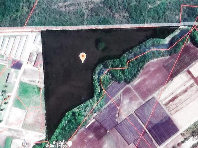 ขายถูก ที่ดินแปลงสวย 20 ไร่ ใกล้ถนนมอเตอร์เวย์ บงปะอิน-โคราช ถนนธนรัตน์ เขาใหญ่ ถนน ธนะรัชต์ หนองน้ำแดง อำเภอปากช่อง นครราชสีมา