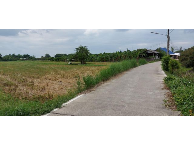 ขายที่ดิน แปลงสวย 6-3-73 ไร่ ทำเลดีมาก เป็นที่นา ด้านหลังติดลำลาง มีบ่อบาดาล ตำบล ทุ่งต้อม อำเภอสันป่าตอง เชียงใหม่