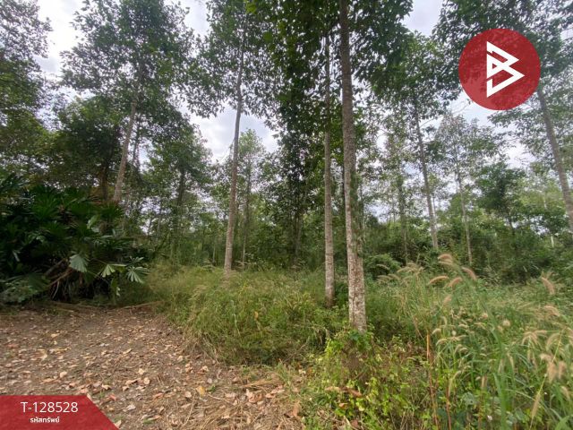 ขายที่ดิน เนื้อที่ 11 ไร่ 3 งาน 54 ตร.วา แกลง ระยอง