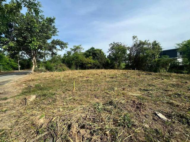 ขายที่ดินแปลงสวย85ตารางวา ถมแล้ว ใกล้เมือง ต.สันกลาง อ.สันกำแพง จ.เชียงใหม่