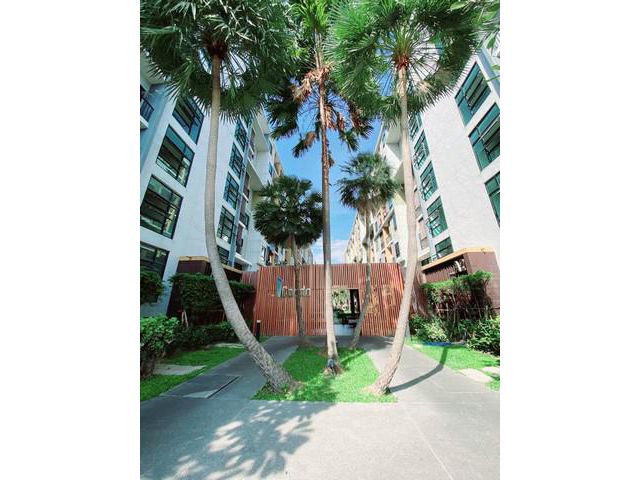 ขายไอคอนโดสุขุมวิท105ชั้น6ห้องติดฝั่งเมืองอยู่ติดถ.บางนาตราด