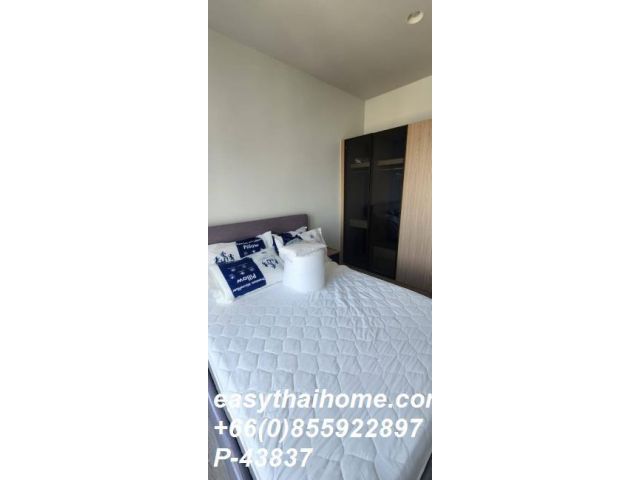 P-43837 ให้เช่า คอนโด เอ็กซ์ที เอกมัย Soi Sukhumvit 63, Khlong Tan Nuea, Watthana, Bangkok พร้อมอยู่ ราคาถูก Line Id @ea