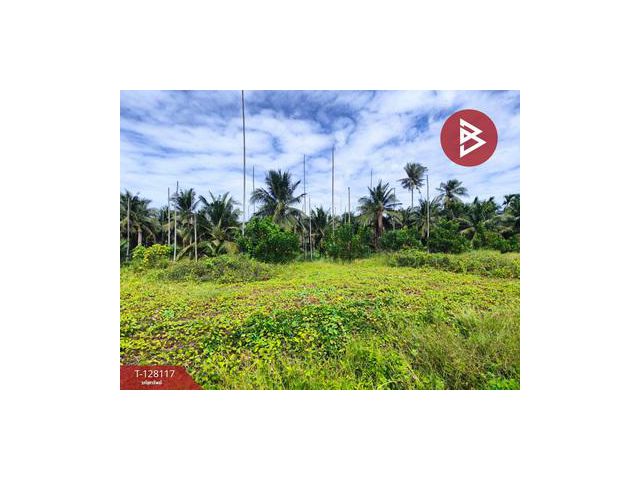 ให้เช่าที่ดินแปลงละ 37.5 ตร.ว. ทำเลดี ติดถนนไปวัดไร่ขิง มี 3 แปลง