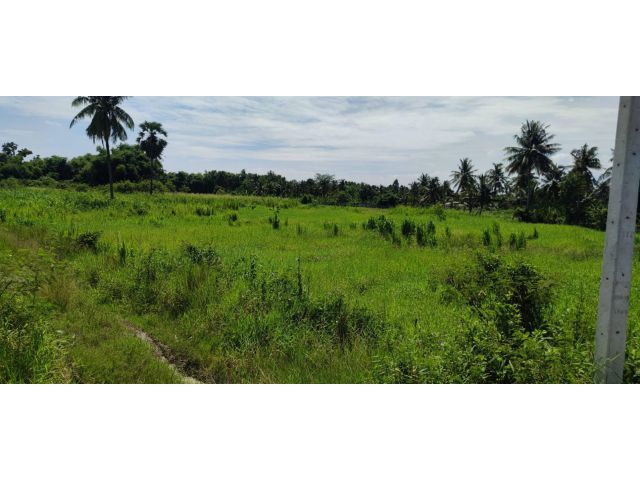 L1158 ขายที่ดินสวยทำเลดี 3 ไร่ พนัสนิคม ชลบุรี