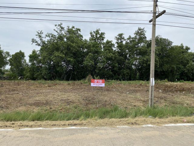 ที่ดิน 200 ตร วา ถนนสค 5038 (นาเกลือ) คลองพิทยาลงกรณ์