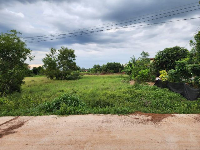 L1159 ขายที่ดินใกล้นิคมฯ304  2 ไร่ ศรีมหาโพธิ ปราจีนบุรี