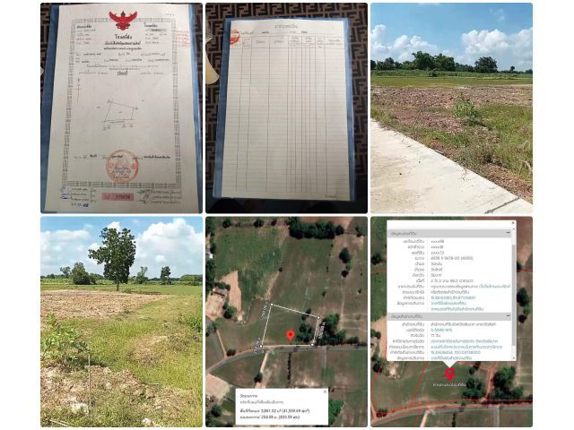 ที่ดิน 2ไร่ 2งาน 86 ตารางวา จ.ชัยนาท ติดถนนคอนกรีต