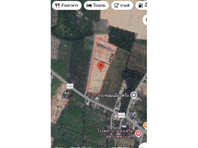 ขายสวนยางอ.ปะเหลียน13ไร่2งานกว่า