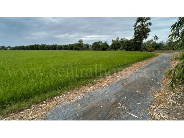 ที่ดิน 9-3-99.5 ไร่ ดอนโพธิ์ - สุพรรณบุรี มีผู้เช่า ทำเลดี