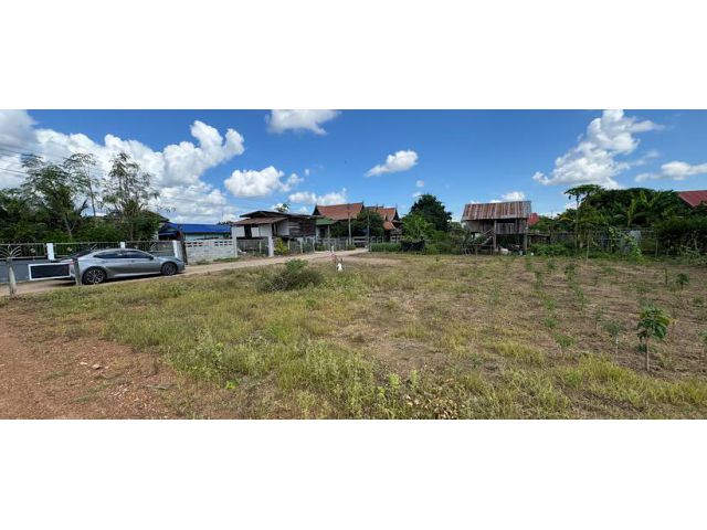 ขายที่ดินสวย ถมแล้ว หัวมุม ติดถนนสองด้าน เหมาะสร้างบ้าน อ.ทุ่งเสลี่ยม 153 ตรว.