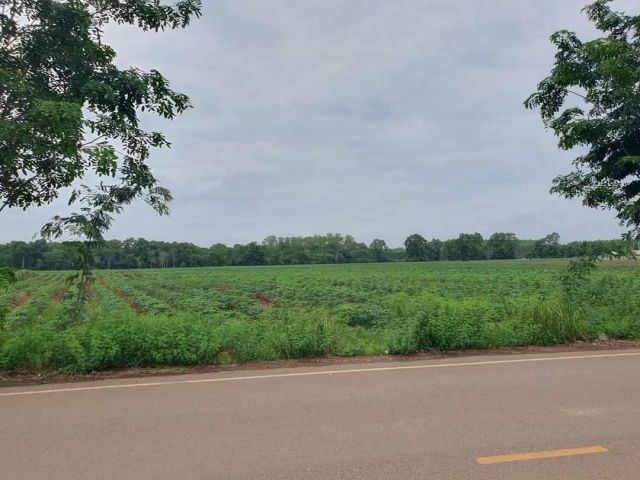 L1162 ขายที่ดินใกล้นิคม.304  41 ไร่ ศรีมหาโพธิ ปราจีนบุรี